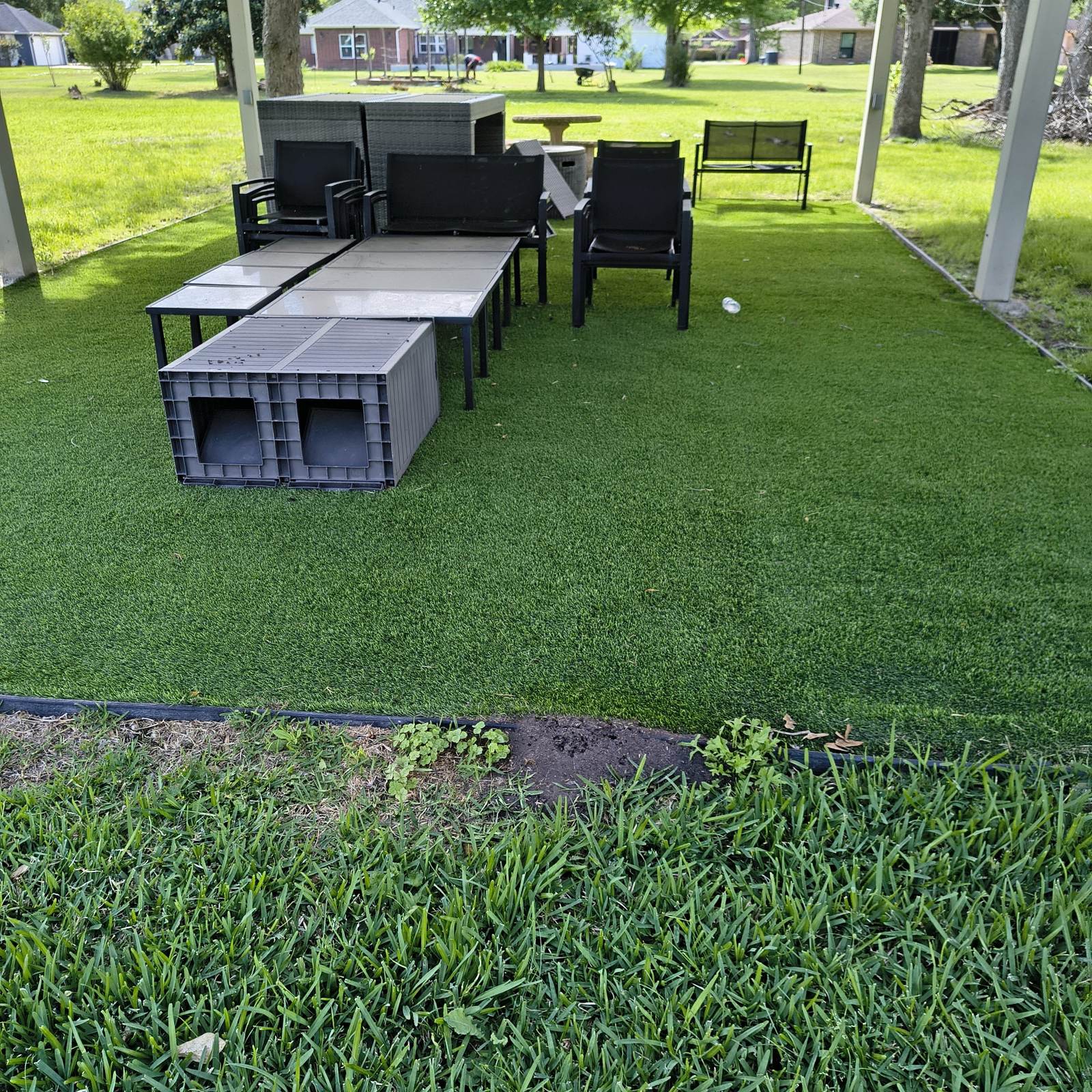 New Sienna Fire Ant mound — Texas Shield Pest Control