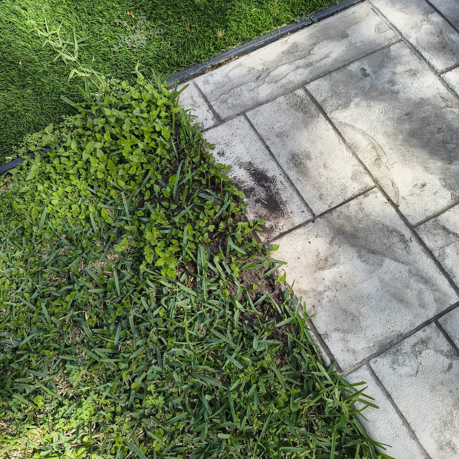 IMG HDR — Texas Shield Pest Control