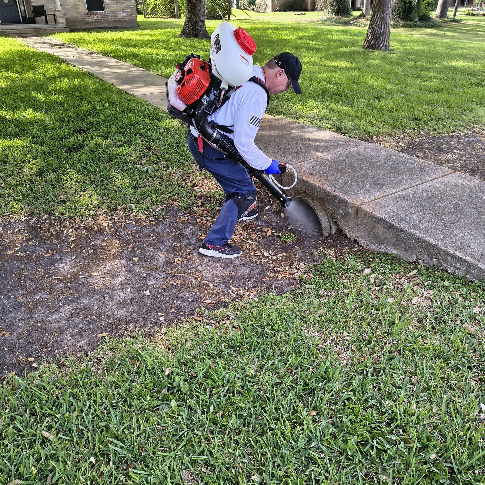 New Sienna Mosquito — Texas Shield Pest Control
