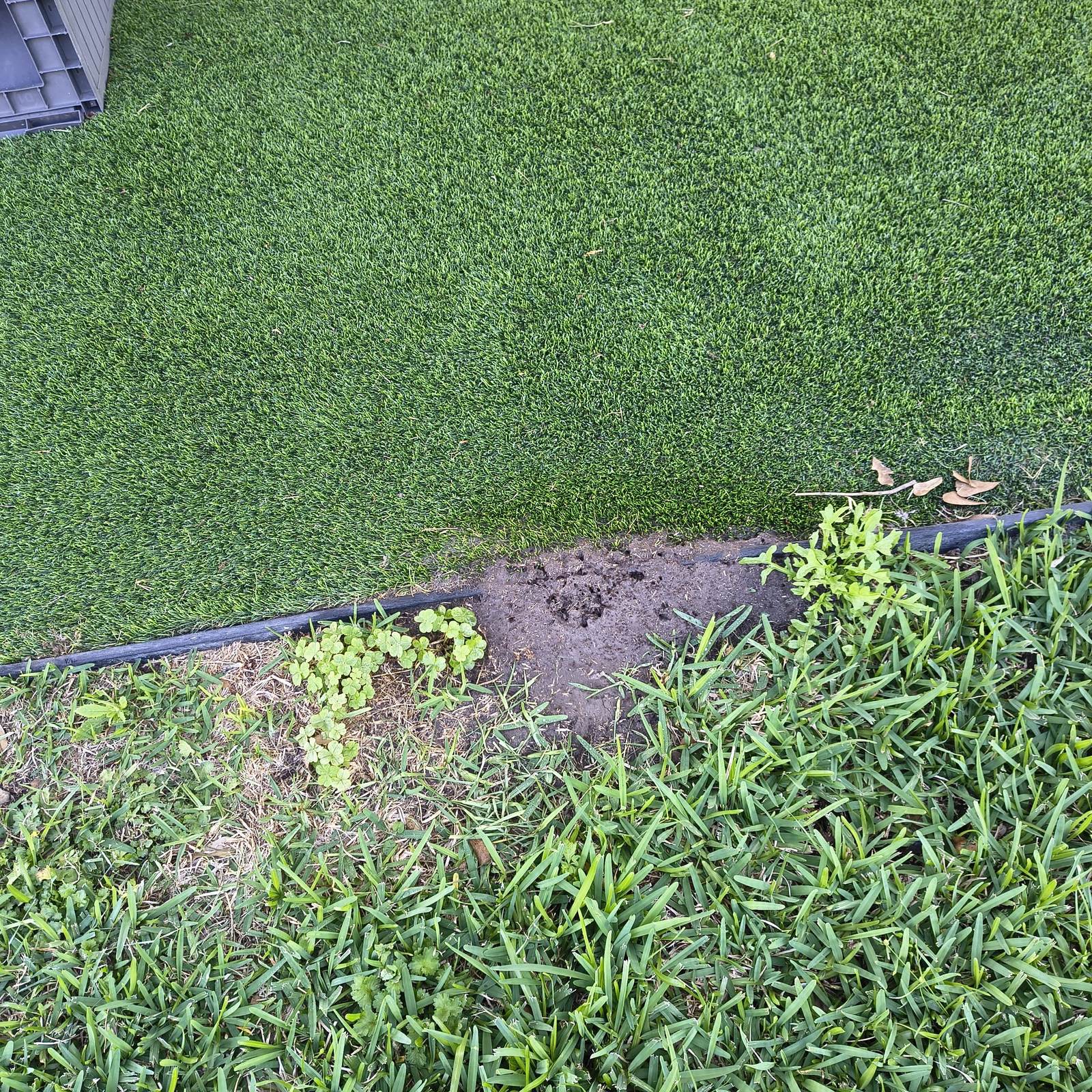 IMG HDR — Texas Shield Pest Control